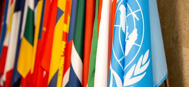The UN flag is depicted in the foreground with the flags of other countries behind it.